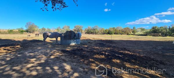 Propriete de 110 m²