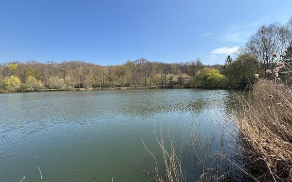 Maison à vendre    5 pièces • 124,85 m2 Vélizy-Villacoublay