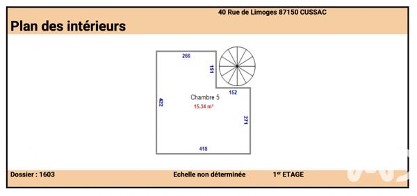 Maison à vendre 5 pièces 185 m² Cussac