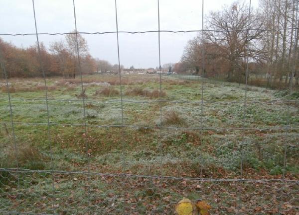 Terrain à vendre    13 123 m2 Saint-Viâtre