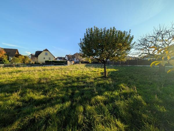 Terrain à bâtir - Holtzheim