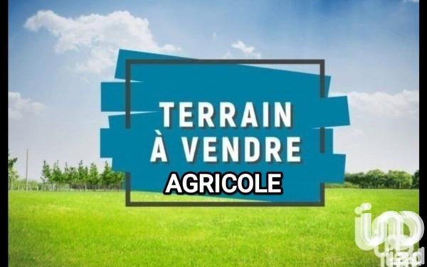 Terrain à vendre 12 587 m² Salses-le-Château