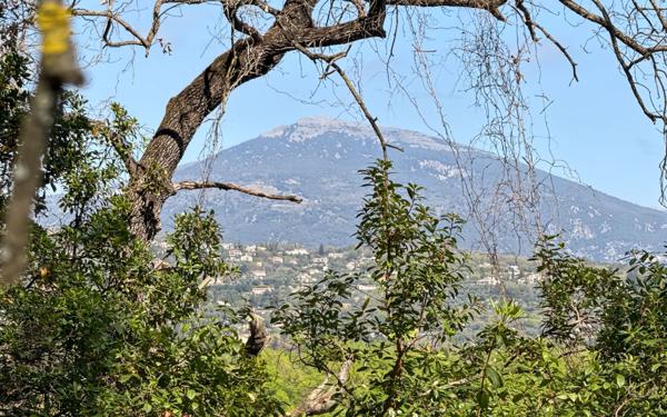 Maison à vendre    6 pièces • 169,89 m2 Châteauneuf-Grasse