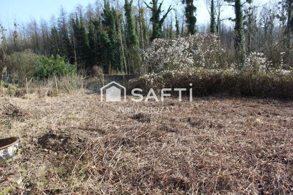 50 MN DE ROISSY / CDG  VILLERS COTTERETS