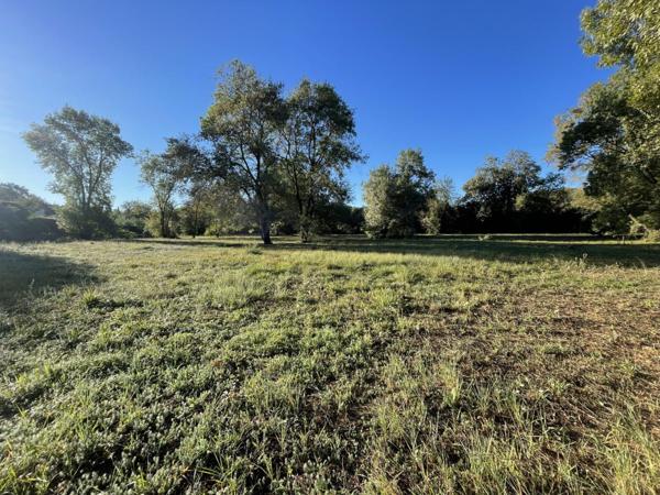 Châteauneuf-Grasse (06740) Magnifique terrain plat