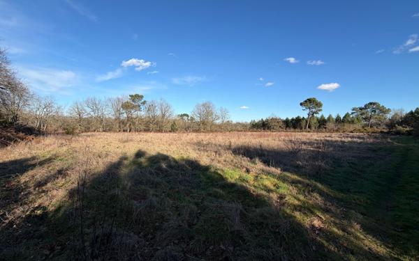 Terrain à vendre    Saint-Sever