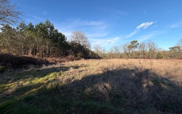 Terrain à vendre    Saint-Sever