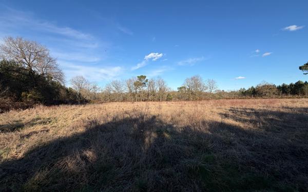 Terrain à vendre    Saint-Sever