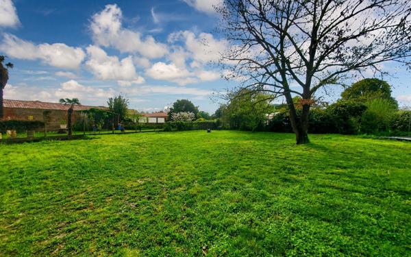 Terrain à vendre    Monbéqui