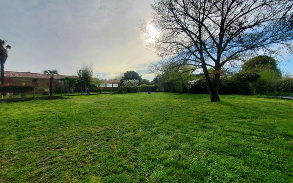 Terrain à vendre    Monbéqui