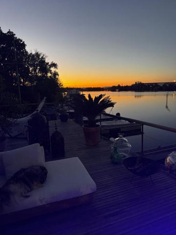 Et si la Saône devenait votre jardin ? St germain au mont d or