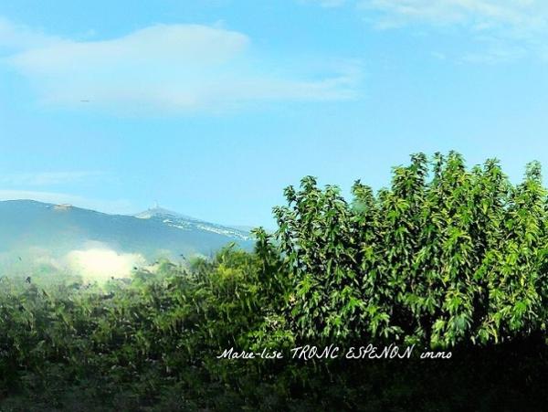 Maison 4 pièces - 196 m²