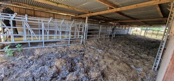 Maison à vendre à Louhans en Saône-et-Loire (71500), ref : BR-CH