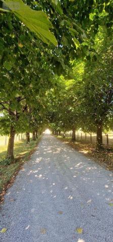 Maison à vendre à Louhans en Saône-et-Loire (71500), ref : BR-CH