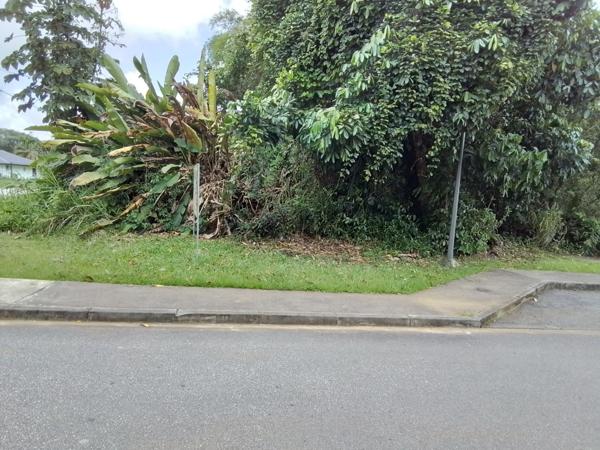 Terrain à vendre de 4 262,00 m² MACOURIA (973)