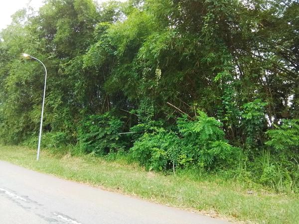 Terrain à vendre de 4 262,00 m² MACOURIA (973)