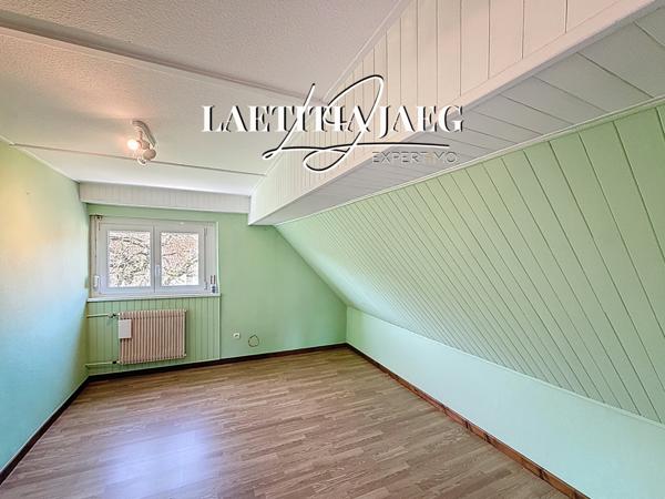Saasenheim (67390) PROPRIÉTÉ AVEC 2 GÎTES – PISCINE CHAUFFÉE – 30 000 € / AN – PROCHE EUROPA PARK