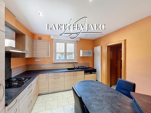 Saasenheim (67390) PROPRIÉTÉ AVEC 2 GÎTES – PISCINE CHAUFFÉE – 30 000 € / AN – PROCHE EUROPA PARK