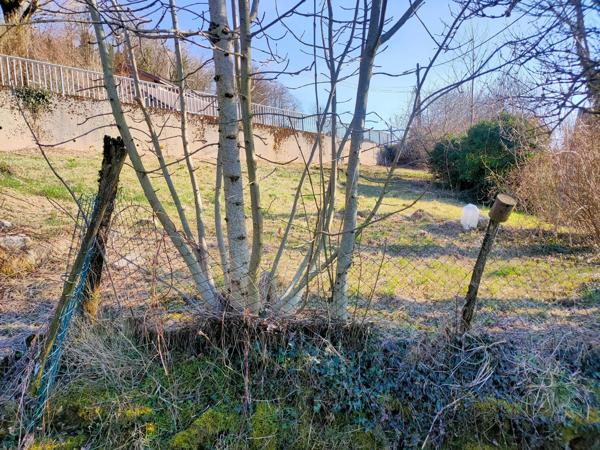 terrain constructible sur les hauteurs de SALINS LES BAINS ( JURA)