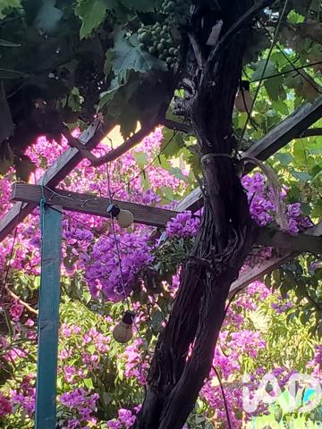 Maison à vendre 4 pièces 122 m² Mèze