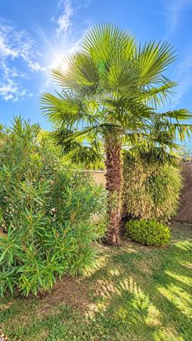 Vente                                                      Maison
                        
                     6 pièces                      140 m2                     à Mareuil-Lès-Meaux