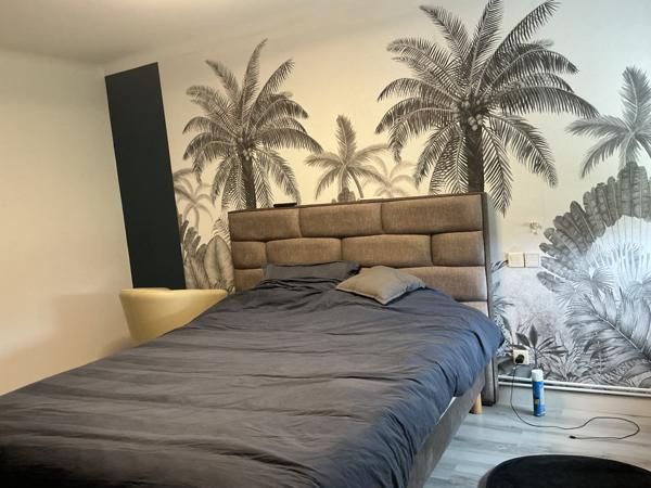 Albias (82350) Maison T7 350m2 AVEC PISCINE ET JARDIN