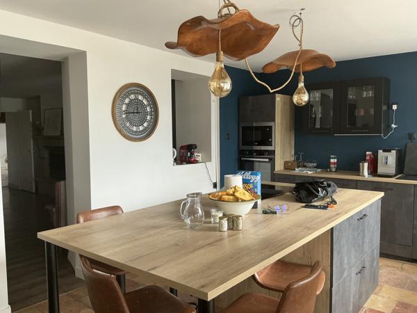 Albias (82350) Maison T7 350m2 AVEC PISCINE ET JARDIN