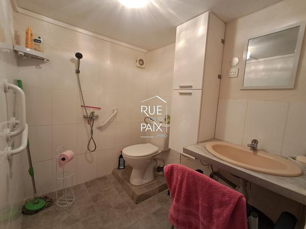 86530 AVAILLES EN CHATELLERAULT Maison sur sous sol avec grand terrain et double garage à Availles-en-Châtellerault