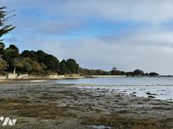 EXCLUSIVITE : A VENDRE ARRADON (56)  : TRES JOLIE MAISON A 5 MIN A PIED DU GOLFE DU MORBIHAN