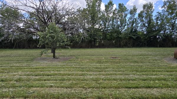 Maison  1 pièce(s)  1 chambre(s)  147 m²