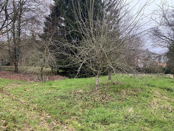 Terrain à Batir à vendre à Dompierre-sur-Authie dans la Somme (80150), ref : 113/1513