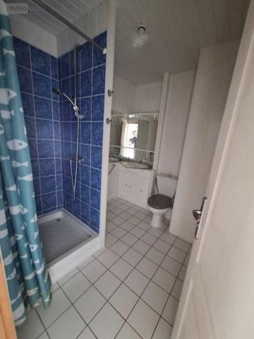 Maison à vendre à Noyal-sur-Vilaine en Ille-et-Vilaine (35530), ref : 11793/8