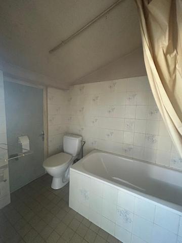 Bord de Loire - Maison à rénover - 2 chambres