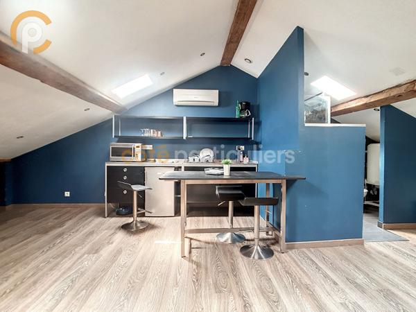 Vente Appartement20,67 m² - 1 Pièce - PERPIGNAN (66000)