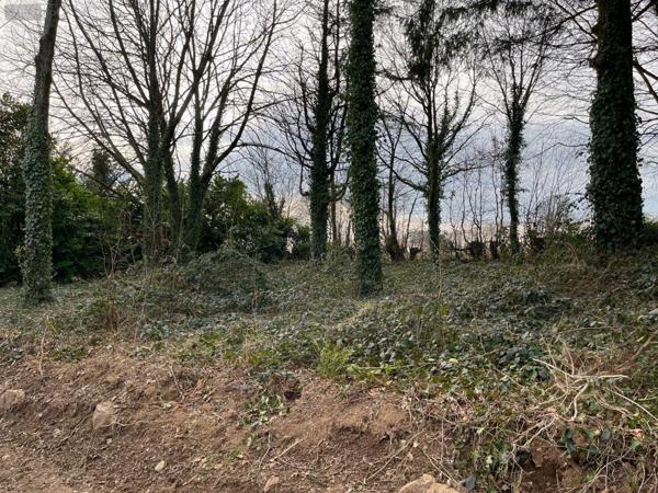 Maison à vendre à Vengeons dans la Manche (50150), ref : 12547/307