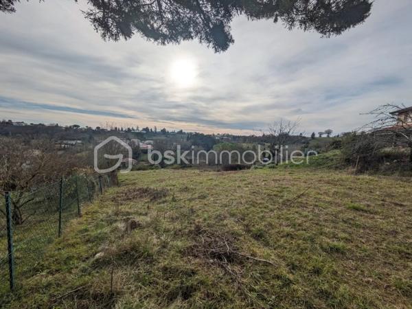 Terrain de 3 920 m²