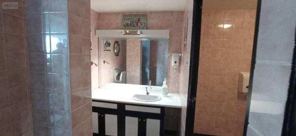 Local mixte (Professionnel/Habitation) à vendre à Langres en Haute-Marne (52200), ref : 52020-53