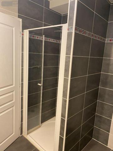 Local mixte (Professionnel/Habitation) à vendre à Langres en Haute-Marne (52200), ref : 52020-53