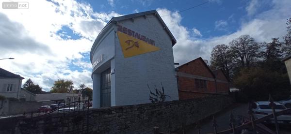 Local mixte (Professionnel/Habitation) à vendre à Langres en Haute-Marne (52200), ref : 52020-53