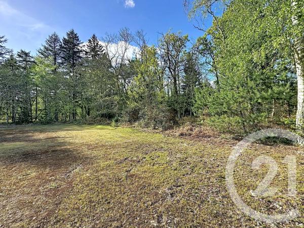 Maison à vendre  4 pièces - 110 m 2   LAMOTTE BEUVRON  - 41