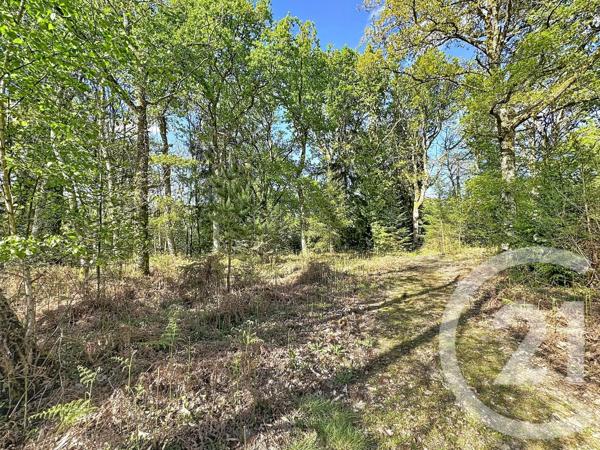 Maison à vendre  4 pièces - 110 m 2   LAMOTTE BEUVRON  - 41