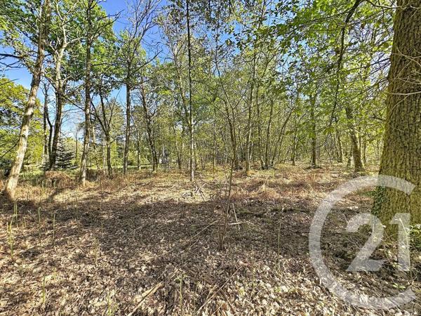 Maison à vendre  4 pièces - 110 m 2   LAMOTTE BEUVRON  - 41