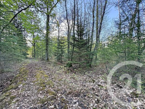 Maison à vendre  4 pièces - 110 m 2   LAMOTTE BEUVRON  - 41