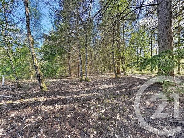 Maison à vendre  4 pièces - 110 m 2   LAMOTTE BEUVRON  - 41