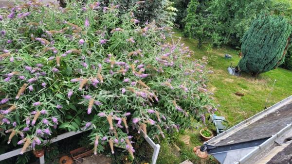 Immeuble/Maison d'habitation à vendre SAINT AVE 56890 Morbihan Bretagne Sud