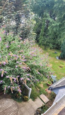 Immeuble/Maison d'habitation à vendre SAINT AVE 56890 Morbihan Bretagne Sud