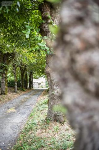 Achat - Maison Cholet 49300 14 pièces 390 m 2 5586 m 2