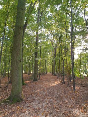 Propriete equestre de 800 m²