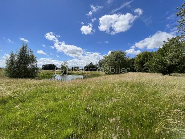 Propriete equestre de 800 m²