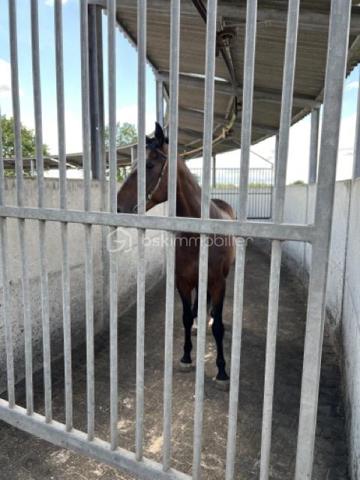 Propriete equestre de 800 m²